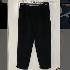 Aritzia Wilfred Allant Pants